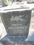 WELGEMOED David 1961-1963