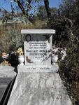 SHEPPERSON Wallace Arnold 1901-1980