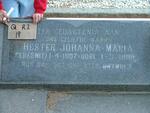 HATTINGH Hester Johanna Maria nee SMIT 1907-1988 