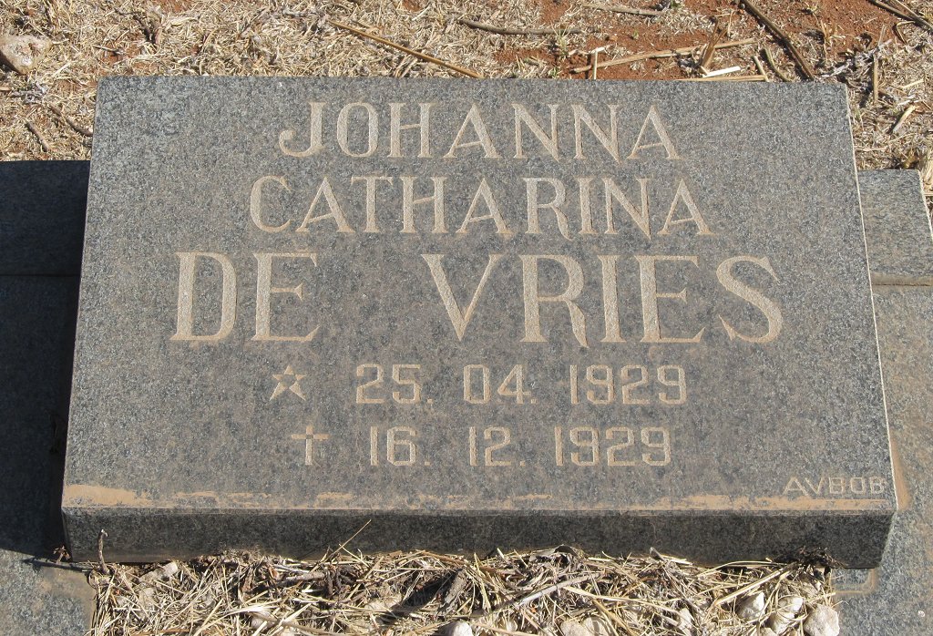 VRIES Johanna Catharina, de 1929-1929