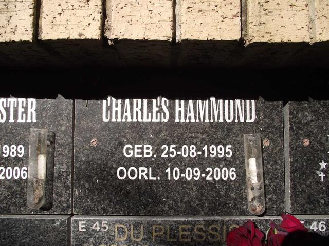HAMMOND Charles 1995-2006