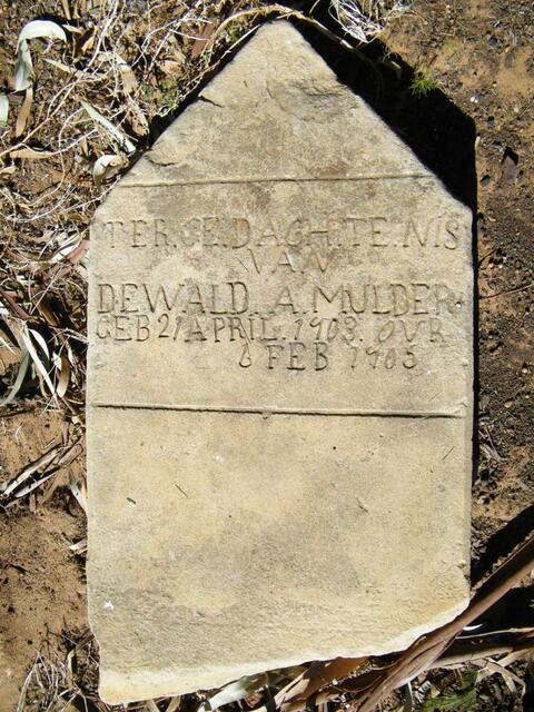 MULDER Dewald A. 1903-1905