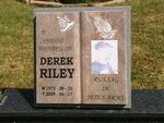 RILEY Derek 1973-2009