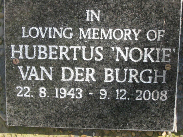 BURGH Hubertus, van der 1943-2008