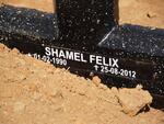 FELIX Shamel 1990-2012