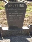 NEVELING Anthonie Michael 1898-1968