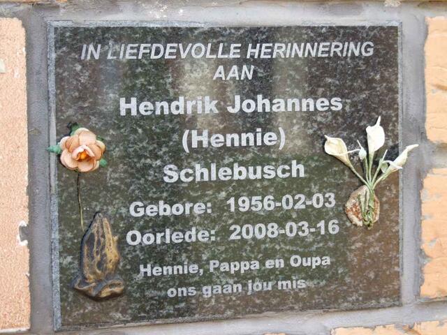 SCHLEBUSCH Hendrik Johannes 1956-2008