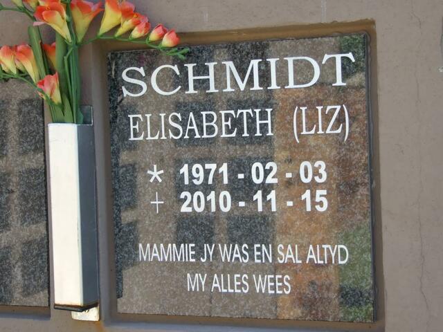 SCHMIDT Elizabeth 1971-2010