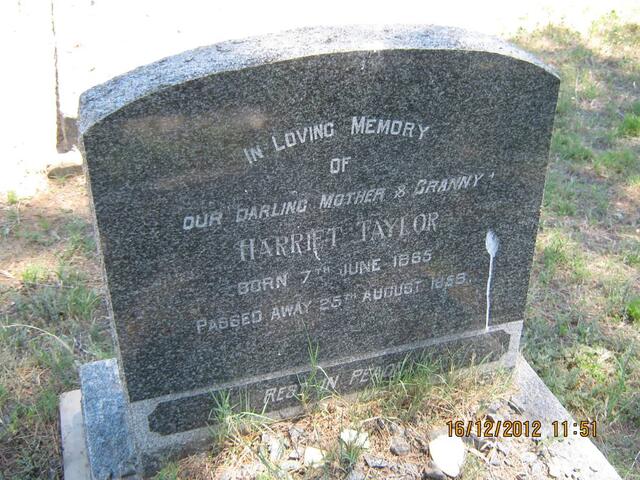 TAYLOR Harriet 1885-1968