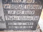 NEL Pieter Willem 1882-1953