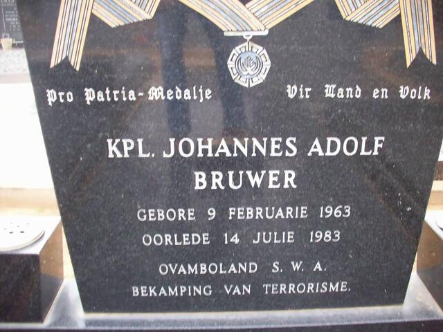 BRUWER Johannes Adolf 1963-1983
