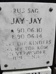 ? Jay-Jay 1990-1990