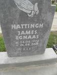 HATTINGH James Egnaas 1924-2001