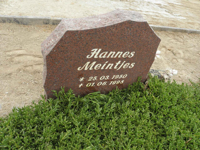 MEINTJIES Hannes 1950-1998