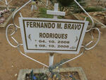 RODRIQUES Fernando M. Bravo 2008-2008