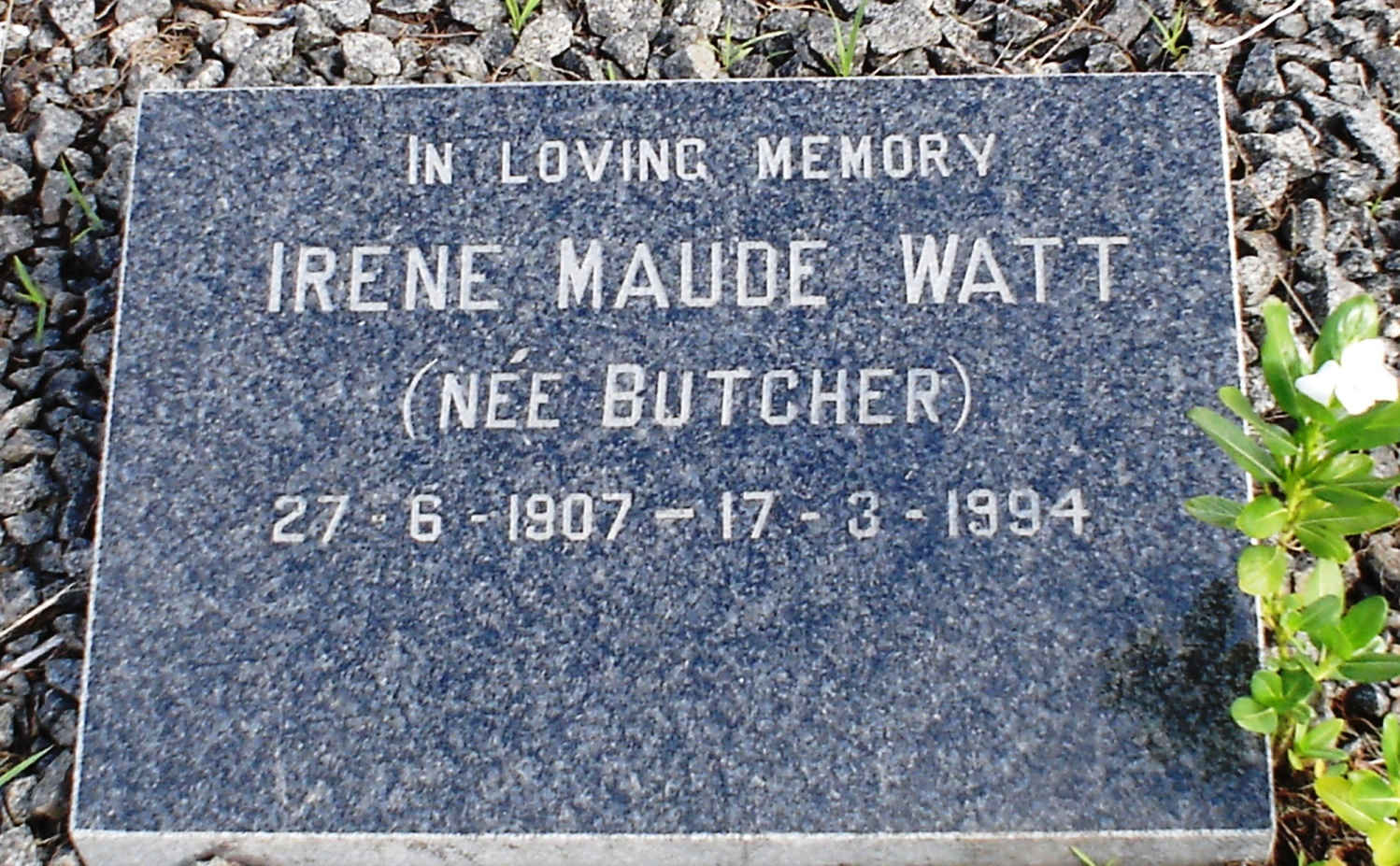 WATT Irene Maude nee BUTCHER 1907-1994 