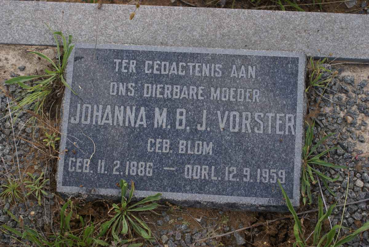 VORSTER Johanna M.G.L. nee BLOM 1886-1959