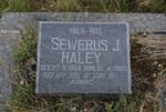 HALEY Sewerus J. 1884-1905