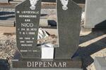 DIPPENAAR Nico 1973-1998