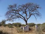Namibia, OTJOZONDJUPA region, Rural (farm cemeteries)