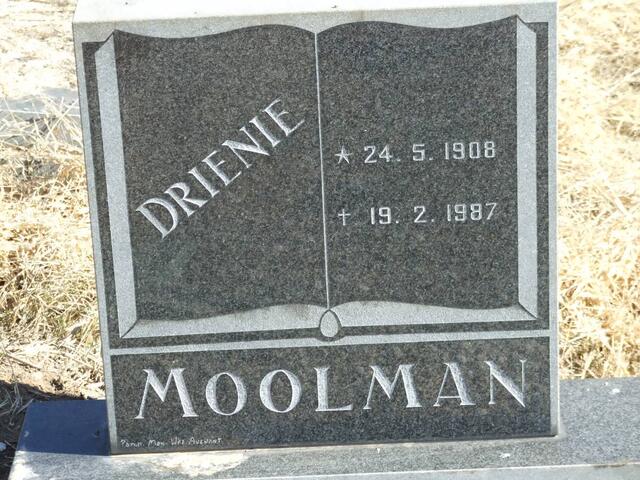 MOOLMAN Drienie 1908-1987