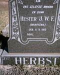 HERBST Hester J.W.F. nee MAARTENS 1913-