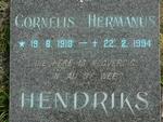 HENDRIKS Cornelis Hermanus 1918-1994