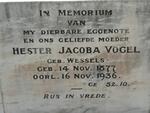 VOGEL Hester Jacoba nee WESSELS 1877-1936