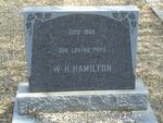 HAMILTON W.H. -1965
