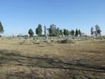 Free State, ORANJEVILLE, Main cemetery
