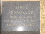 SEPENYANE David 1942-1953