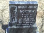 NORTIER Adriaan Jacobs 1982-1982