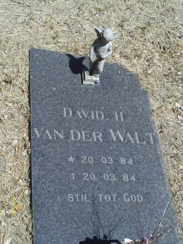WALT David H., van der 1984-1984
