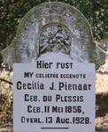 PIENAAR Cecilia J. nee DU PLESSIS 1856-1928