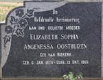 OOSTHUIZEN Elizabeth Sophia Angenessa nee VAN NIEKERK 1878-1955