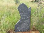 Limpopo, MOKOPANE district, Doorndraaidam Nature Reserve, Paardedrift 303, single grave