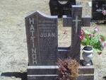 HATTINGH Juan 1976-1999