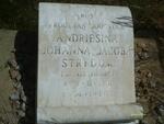 STRYDOM Andriesina Johanna Jacoba nee DE SWARDT 1901-1972