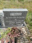 STRAUSS Andries Jacobus 1878-1947