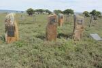 Eastern Cape, ALBANY district, Signal Kop 68, Carlisle Bridge, farm cemetery
