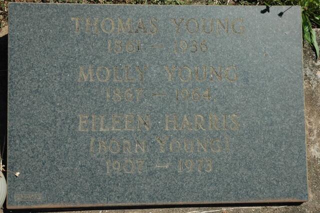 YOUNG Thomas 1861-1936 & Molly 1867-1964 :: HARRIS Eileen nee YOUNG 1907-1973 