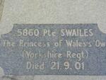 SWAILES -1901