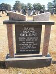 SELEPE David Skapie 1934-2001