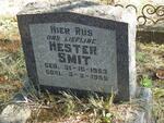 SMIT Hester 1953-1955