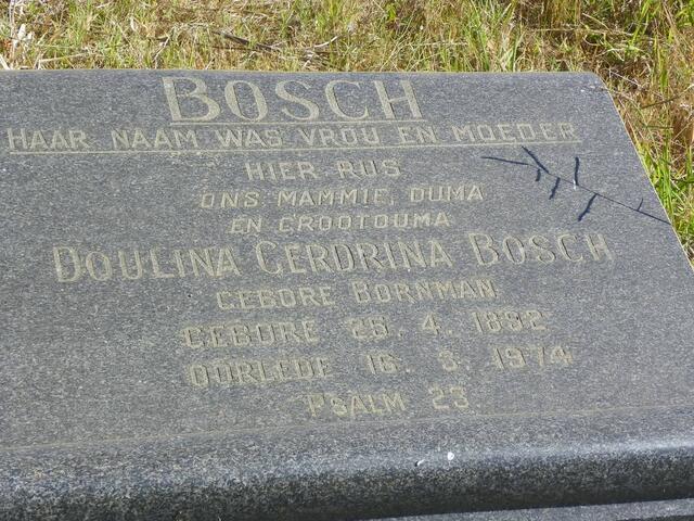 BOSCH Doulina Gerdrina nee BORNMAN 1892-1974