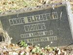 WIGGINS Annie Elizabeth 1869-1893