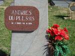 PLESSIS Andries, du 1968-1991