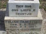 BAMBERGER Frikkie 1947-1947
