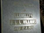 WILLIAMS J.L.L. -1925