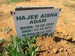 ADAM Hajee Aisha 1953-2013